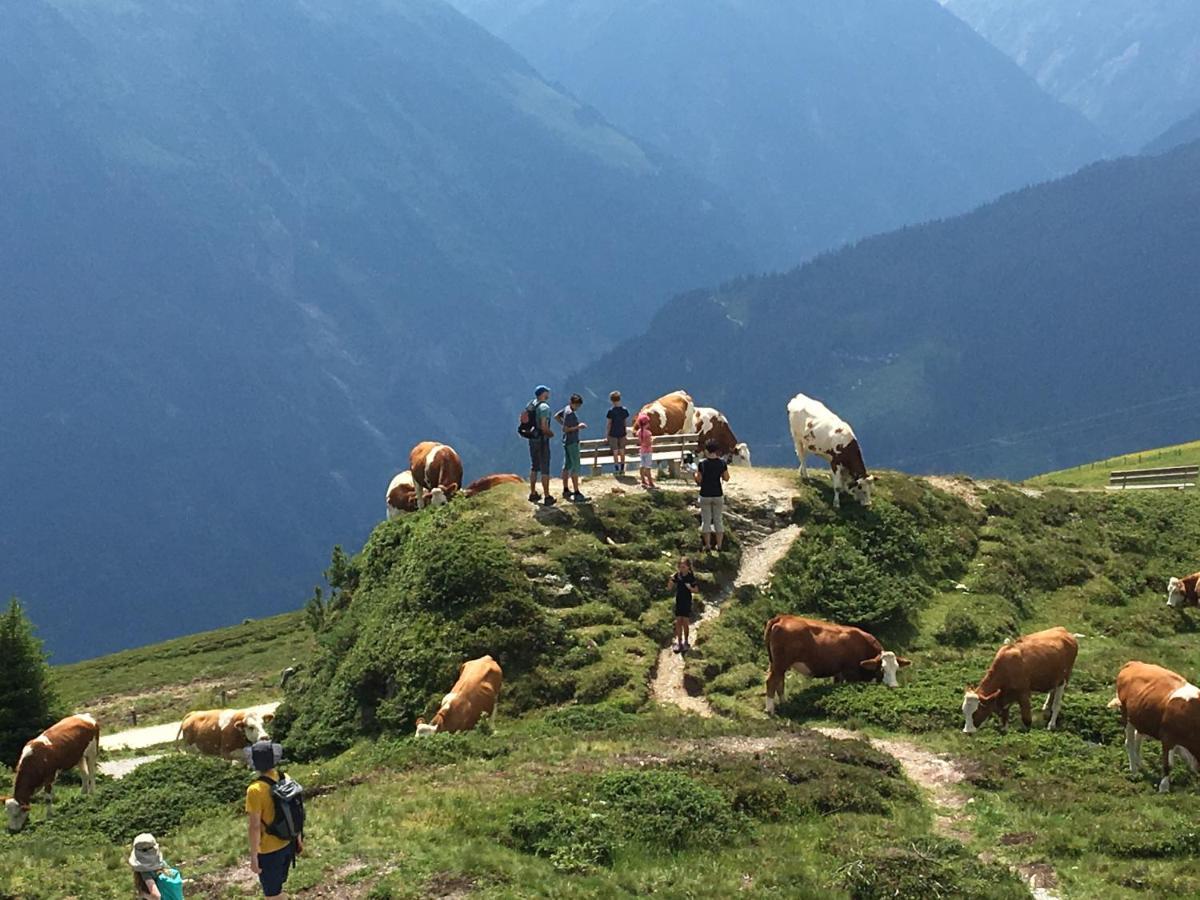 Ferienwohnung Landhaus Zillertal Ramsau im Zillertal Exterior foto